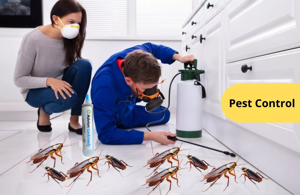 Pest Control Company in Ajman 