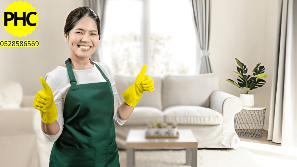 house cleaning maids