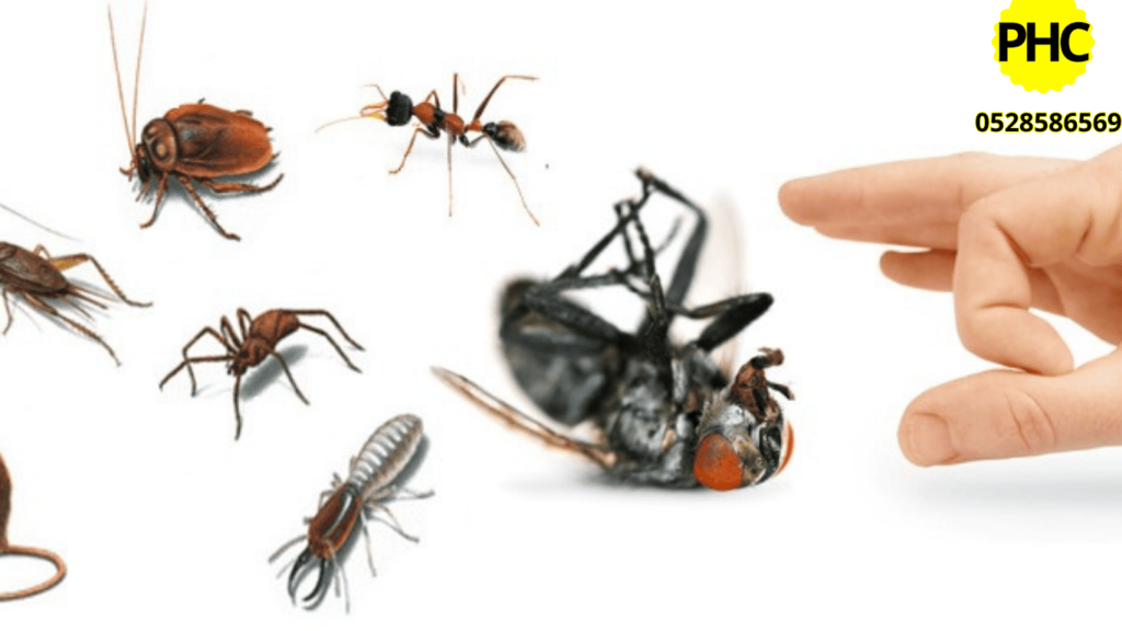 Pest Control Service in Ajman