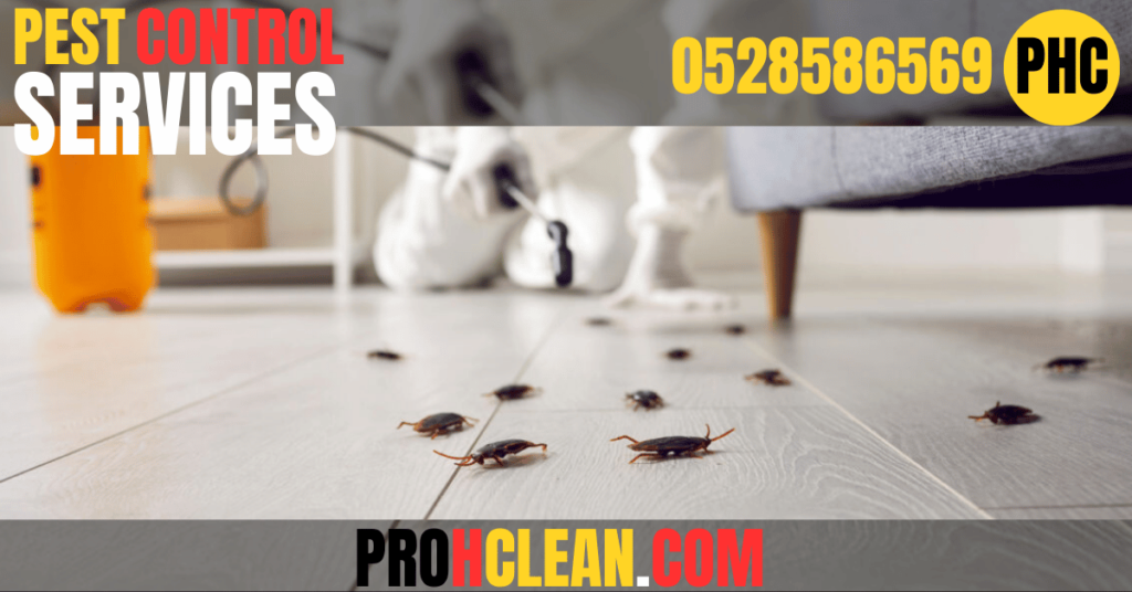 pest control services in abu dhabi