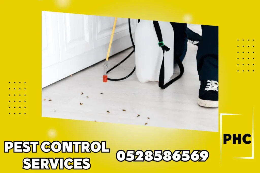 Pest Control in Ajman