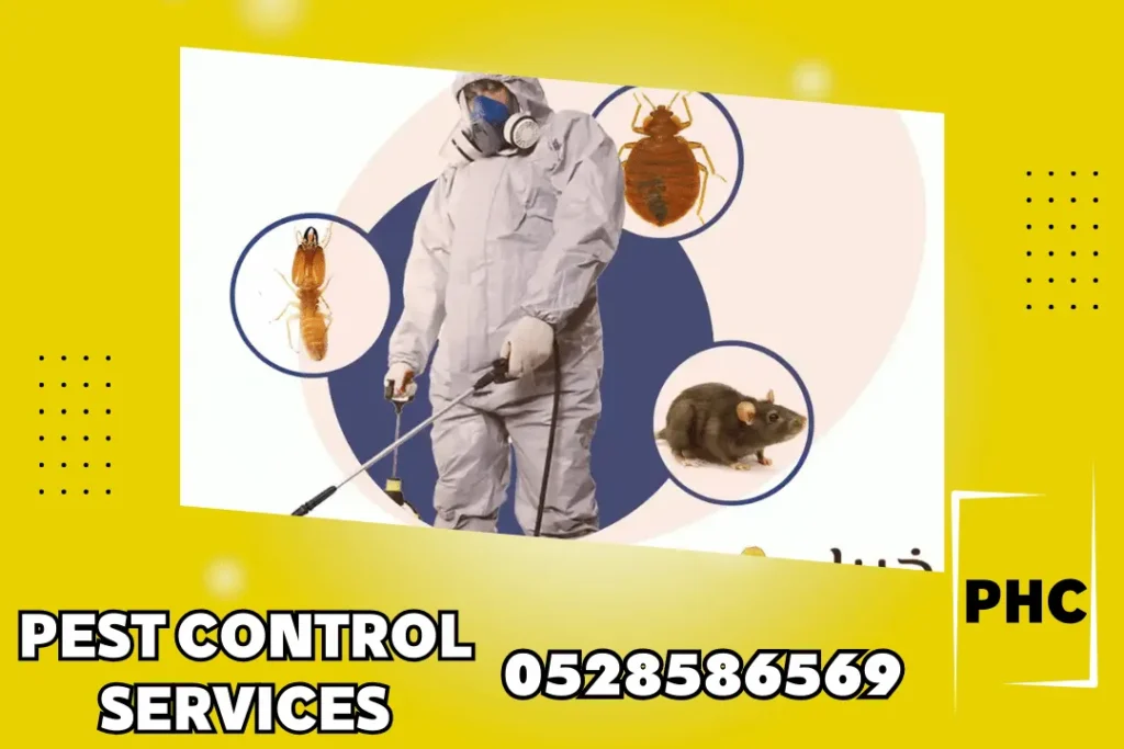 Pest Control in Ajman
