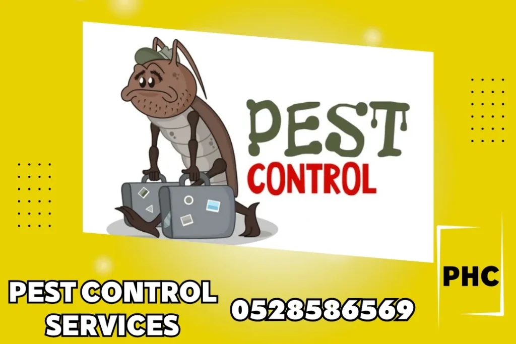 Pest Control in Ajman