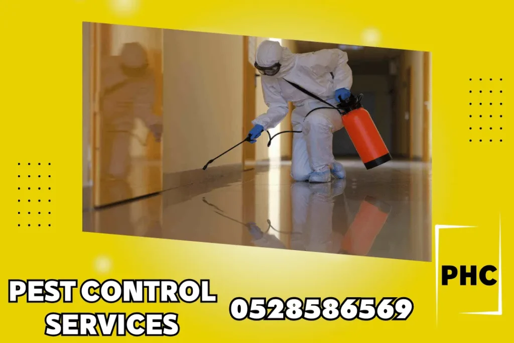 Pest Control in Abu Dhabi