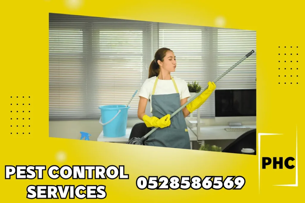 House Cleaning in Dubai