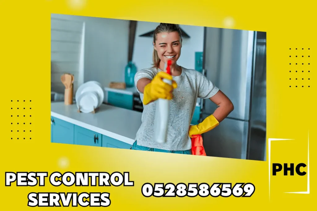 تنظيف منازل في الشارقة