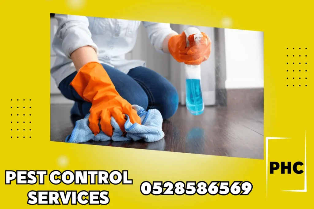 تنظيف منازل