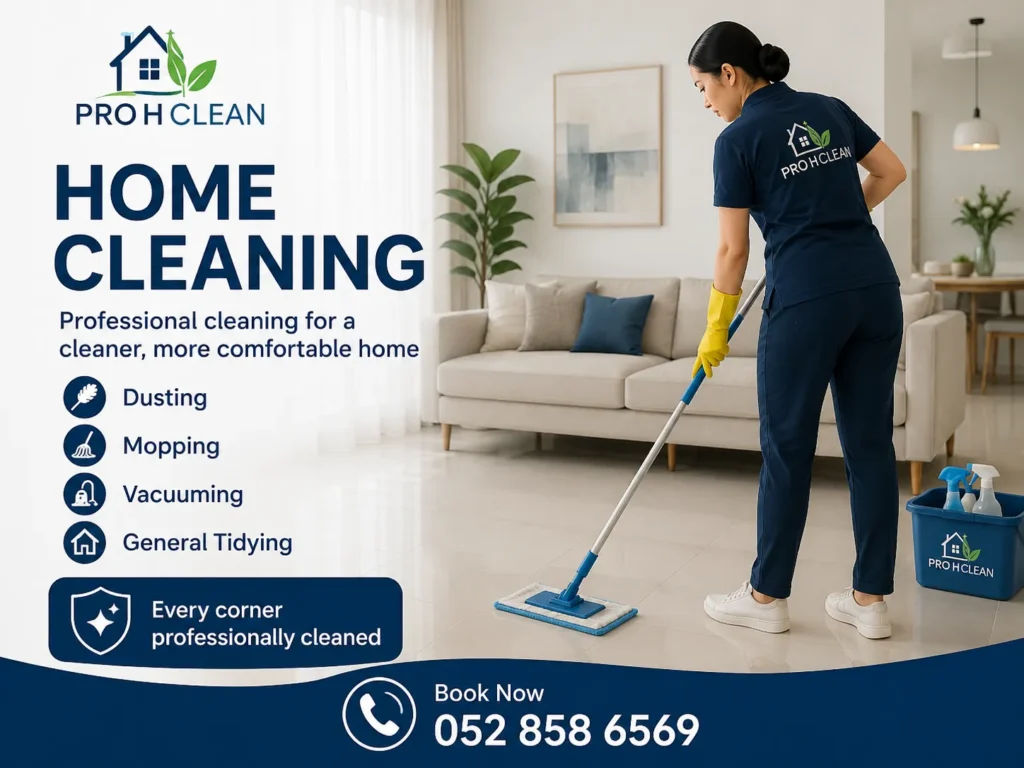Maid Cleaning