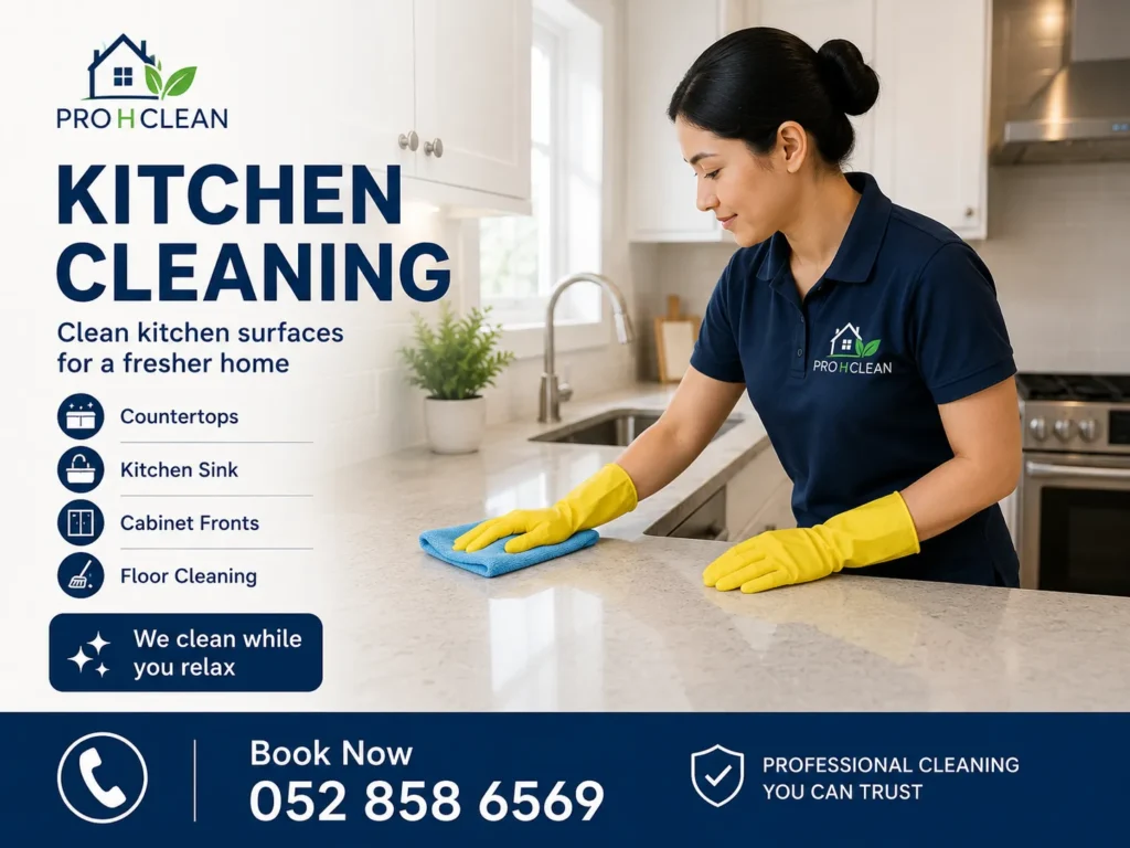 Maid Cleaning