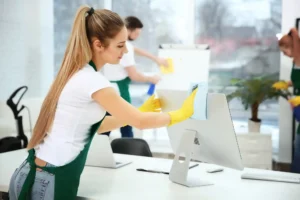 hourly Cleaning services