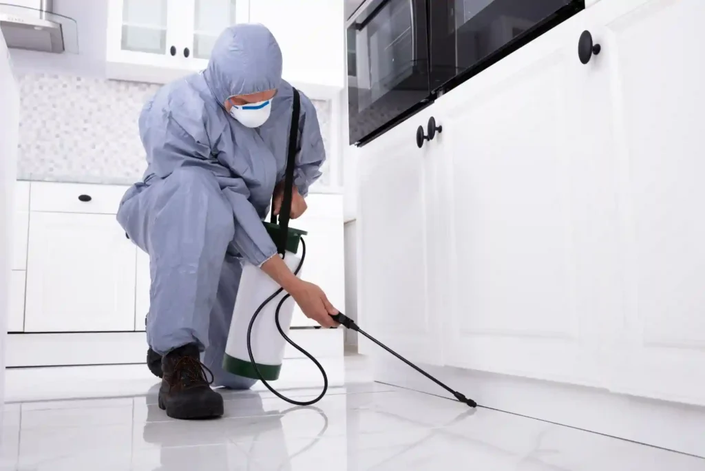 Pest Control Company in Ajman