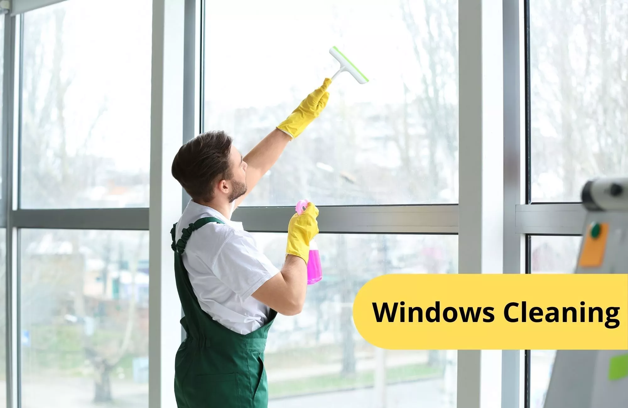 WINDOWS CLEANING