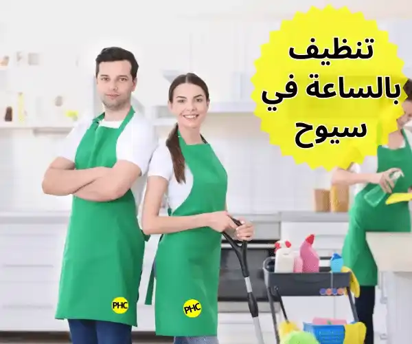 تنظيف بالساعة في سيوح 