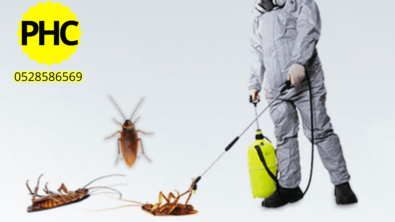 Cockroach Spraying Company in Dubai