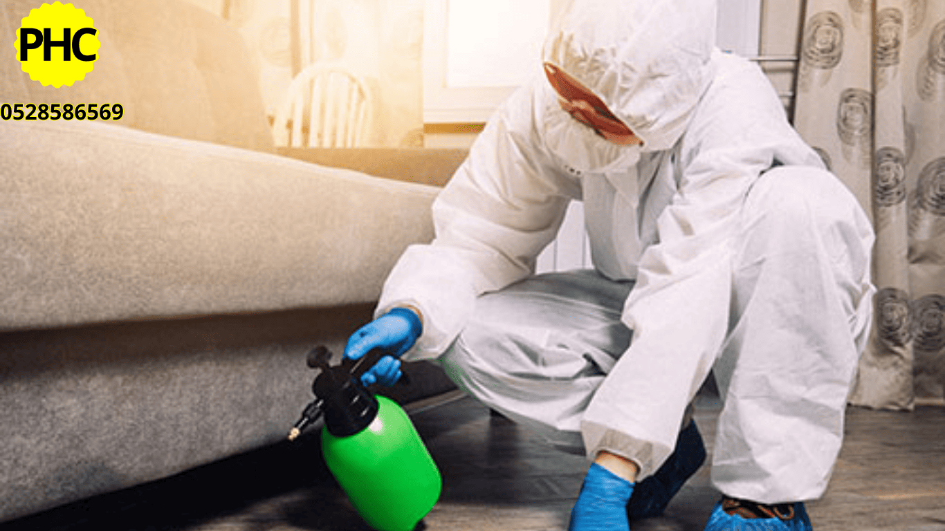 Pest Control Service in Dubai